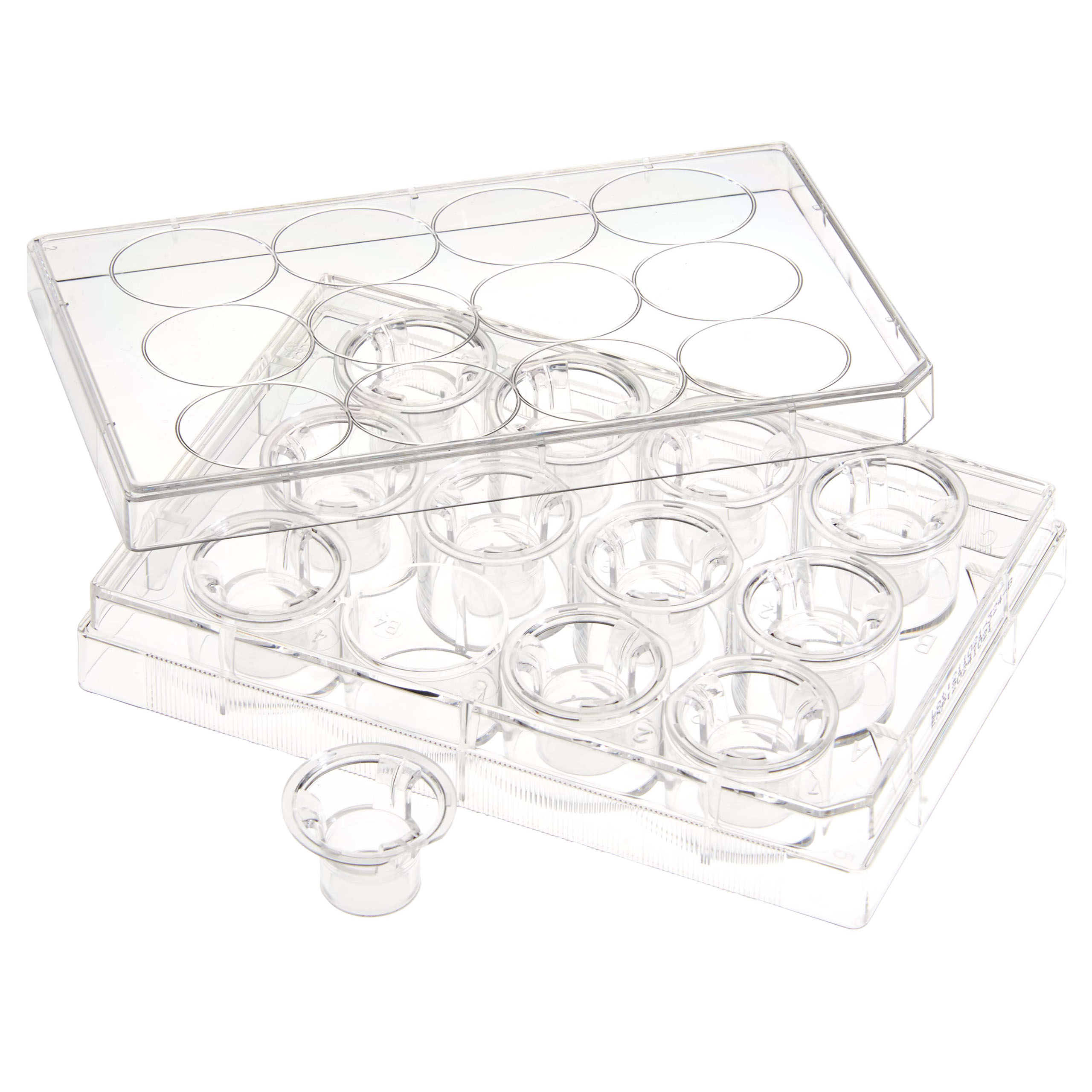 Plates-Permeable Cell Culture Inserts | 230621 • CELLTREAT 
